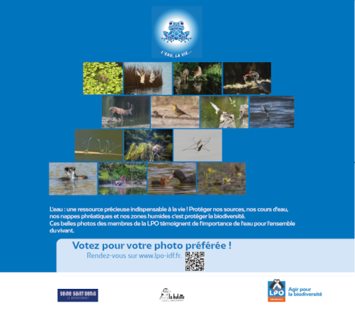 15 photos d'espèces différentes